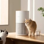 Xiaomi Mijia Smart Pet Care Air Purifier | Dubai UAE